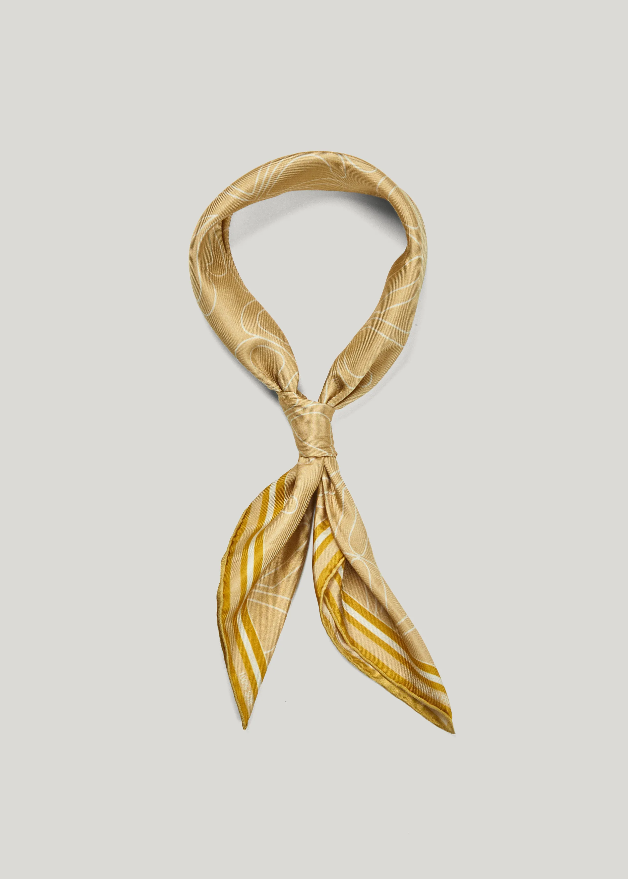 Biarritz scarf in monogram 